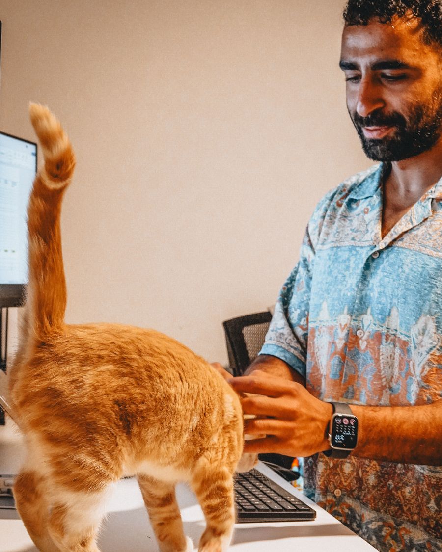 Abdel at a desk, an orange cat walking across the keyboard