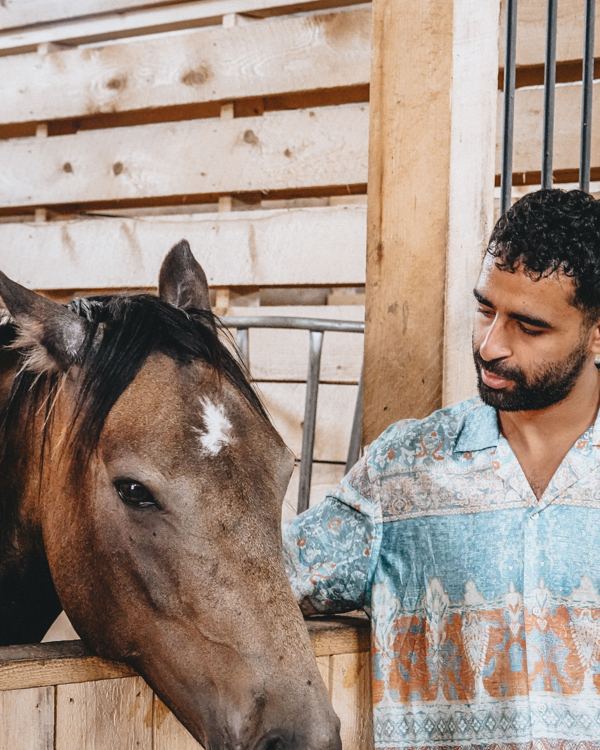 Abdel beside a horse at a stable door